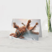 Irish Setter Birthday Fun Karte (Vorderseite)