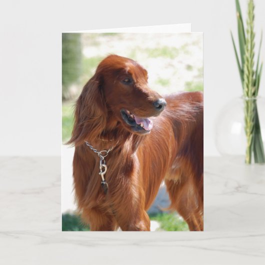 Irish Setter Card Dankeskarte (Vorderseite)