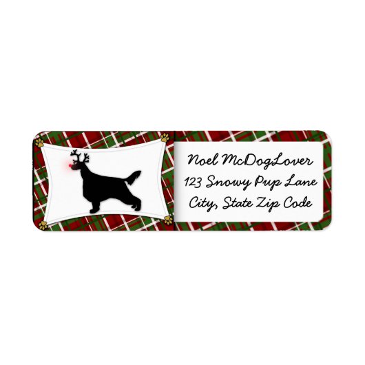 Irish Setter Christmas (Vorne)
