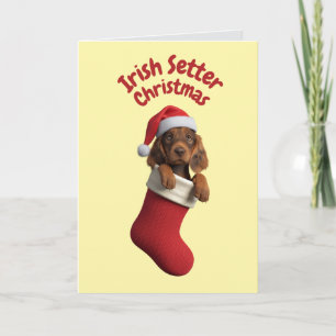 Irish Setter Christmas Strumpf Karte