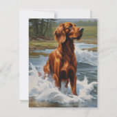 Irish Setter Dankeskarte (Vorderseite)