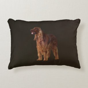 Irish Setter Dekokissen