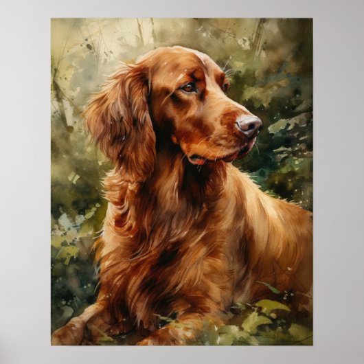 Irish Setter Dog Art Print Poster (Vorne)