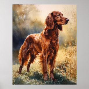 Irish Setter Dog Art Print Poster