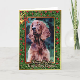 Irish Setter Dog Blank Christmas Card Feiertagskarte
