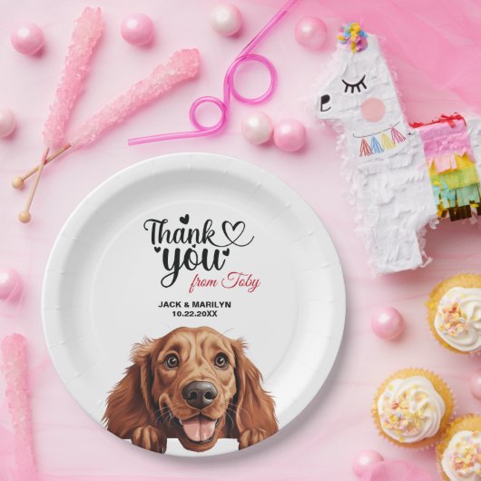 Irish Setter Dog Pappteller (Party)