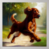 Irish Setter Dog Poster (Vorne)