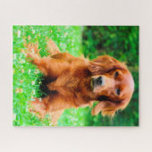 Irish Setter Dog. Puzzle (Horizontal)