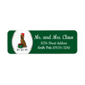 Irish Setter Dog (rot 1) Niedlich (Vorne)