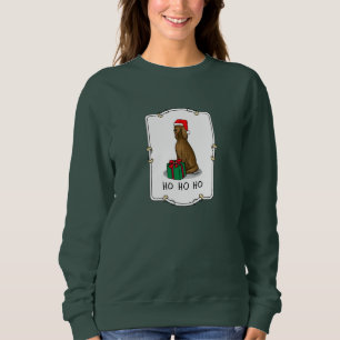 Irish Setter Dog (rot 1) Niedlich Sweatshirt