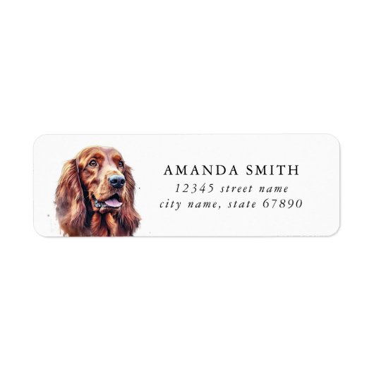 Irish Setter Dog Rücksendeadressen-Aufkleber (Vorne)