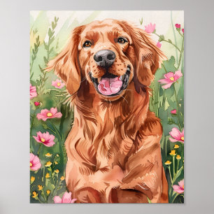 Irish Setter Dog Wall Art Poster