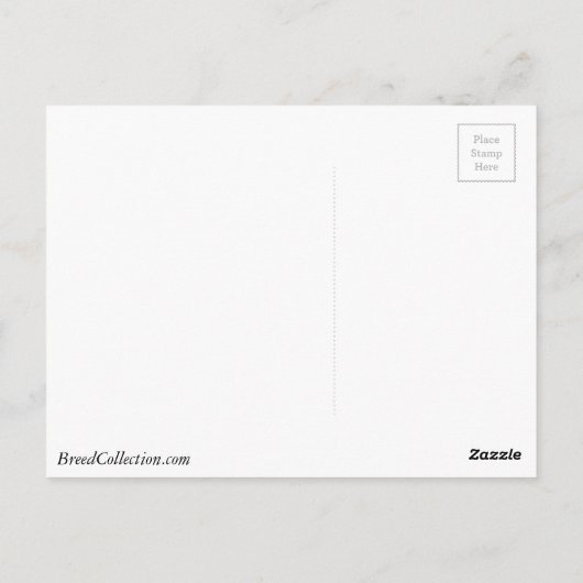 Irish Setter Fahren eines Autos mit einem Baum obe Postkarte (Rückseite)