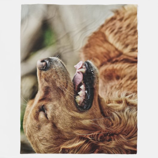 IRISH SETTER FLEECEDECKE (Vorderseite)