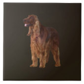 Irish Setter Fliese (Vorderseite)