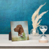 Irish Setter Fotoplatte (InSitu)