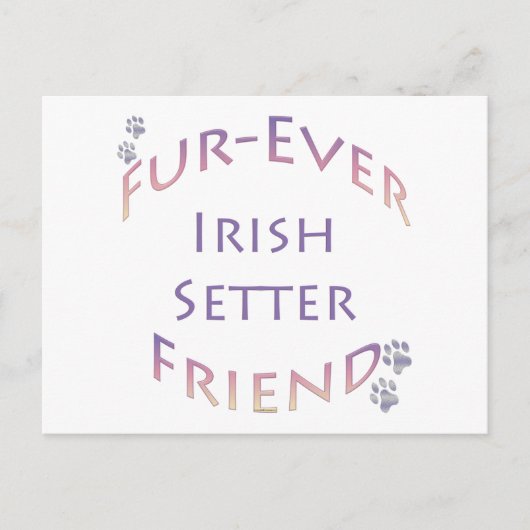 Irish Setter Furever Postkarte (Vorderseite)