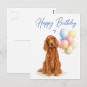Irish Setter Geburtstag Postkarte (Vorne/Hinten)