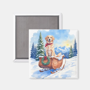 Irish Setter genießt Weihnachts-Schlittenfahrt im Magnet