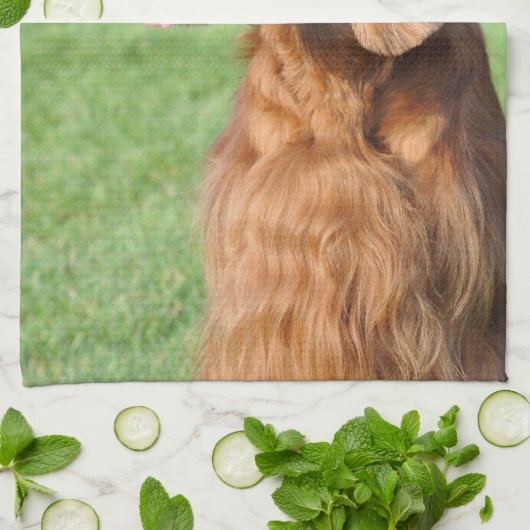 Irish Setter Geschirrtuch (Gefaltet)