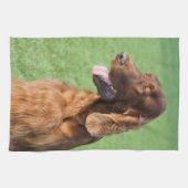 Irish Setter Geschirrtuch (Horizontal)