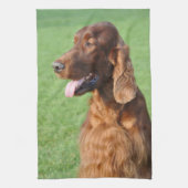 Irish Setter Geschirrtuch (Vertikal)