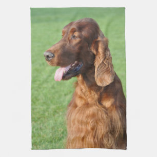 Irish Setter Geschirrtuch