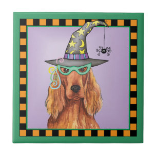Irish Setter Hexe Fliese