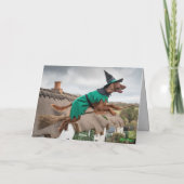 Irish Setter Hexe Halloween Karte (Rückseite)