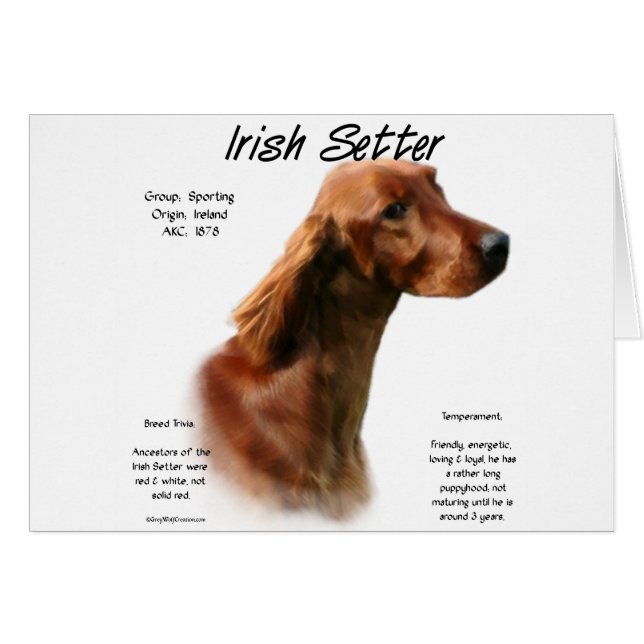 Irish Setter History Design (Vorderseite (Horizontal))
