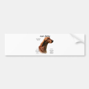 Irish Setter History Design Autoaufkleber
