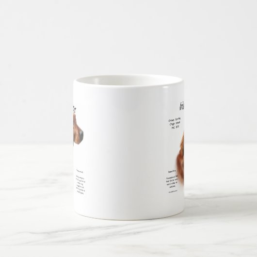 Irish Setter History Design Kaffeetasse (Mittel)