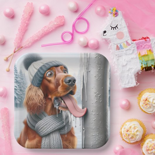 Irish Setter Hund leckt einen gefrorenen Pole Pappteller (Party)