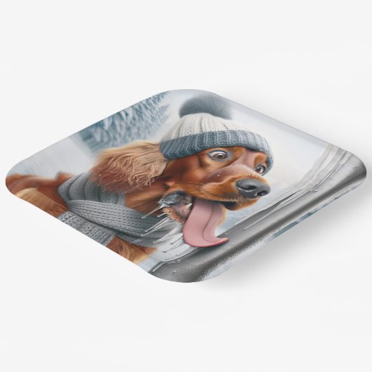 Irish Setter Hund leckt einen gefrorenen Pole Pappteller (Gewinkelt)