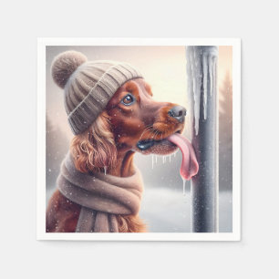 Irish Setter Hund leckt einen gefrorenen Pole Serviette