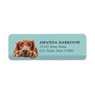 Irish Setter Hund Rücksendeadressetiketten
