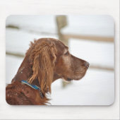 Irish Setter im Schnee Mousepad (Vorne)