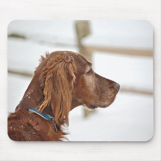 Irish Setter im Schnee Mousepad (Vorne)