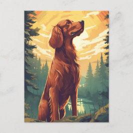 Irish Setter im Wald bei Sonnenuntergang Postkarte