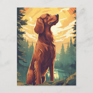 Irish Setter im Wald bei Sonnenuntergang Postkarte