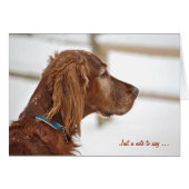 Irish Setter im Winter denken Sie an Sie (Vorderseite (Horizontal))