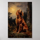 Irish Setter in der Nacht Poster (Vorne)