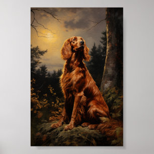 Irish Setter in der Nacht Poster
