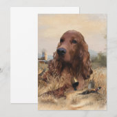 Irish Setter Jagd Fasant, Art Einladung (Vorne/Hinten)