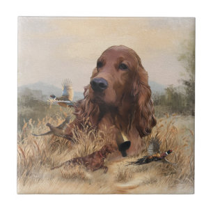 Irish Setter Jagd Fasant, Art Fliese