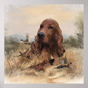 Irish Setter Jagd Fasant, Art Poster