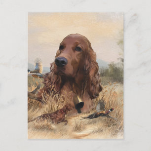 Irish Setter Jagd Fasant, Art Postkarte