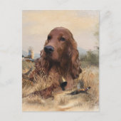 Irish Setter Jagd Fasant, Art Postkarte (Vorderseite)