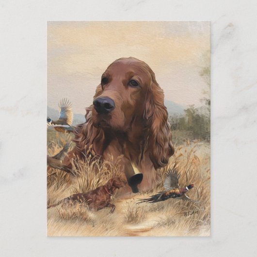 Irish Setter Jagd Fasant, Art Postkarte (Vorderseite)