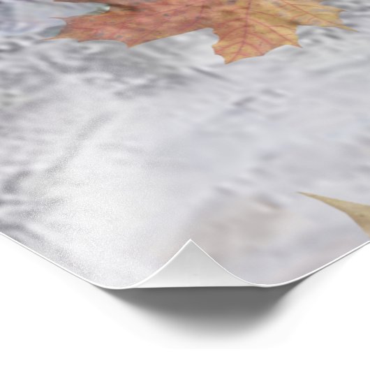 Irish Setter Jagd Foto Print (Ecke)